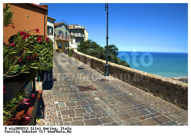 ������, ������ ������, �����