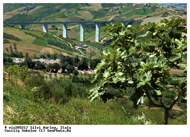 ������, ������ ������, �����