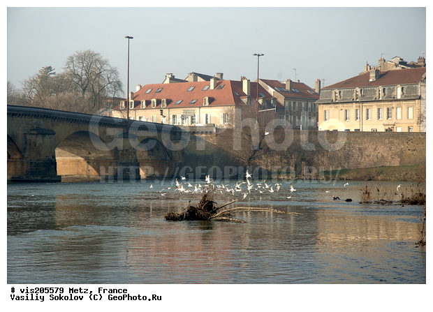 ���, �������