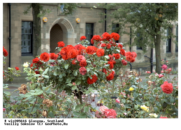 ������, ��������������, ������, ���������, �������, �������, ����, �����