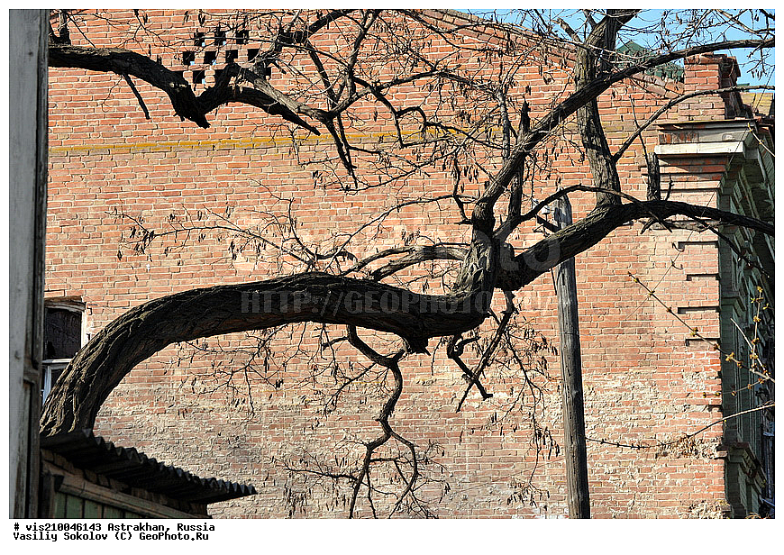 ���������, �����, �����, ����, ������ �����, �� �����, ������, ����� ������