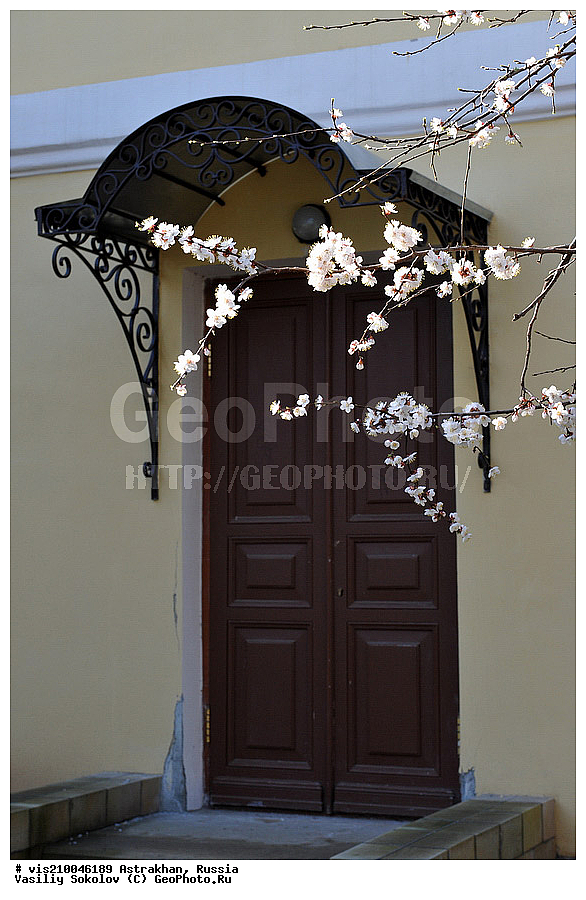 ���������, �����, �����, ����, ������ �����, �� �����, ������, ����� ������