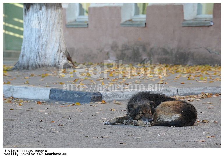 �������, ������, ������, ������, ��������, ��������, ������, ����, �������, �����, ���, ������, ����, �����, �����, �����, �������