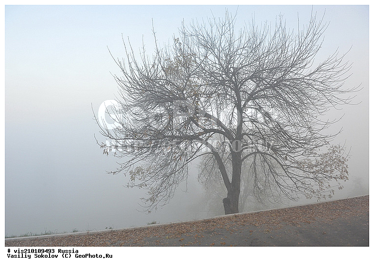 ������ ��������, ������, �����, ������, �����, �������, �����, �����, ����, ������ ��������