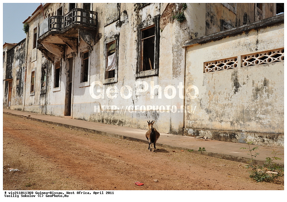 �����, ������, �������, �������������, ������������, ��������, ������-�����, �����, 2011