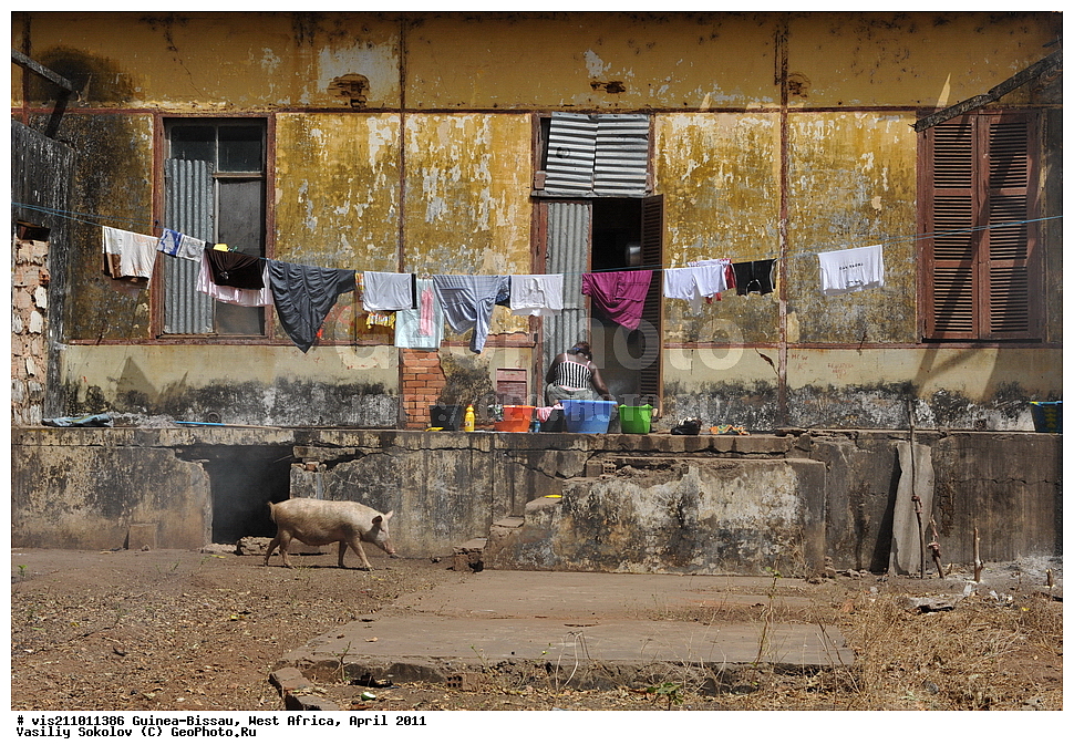 �����, ������, ������-�����, �����, 2011