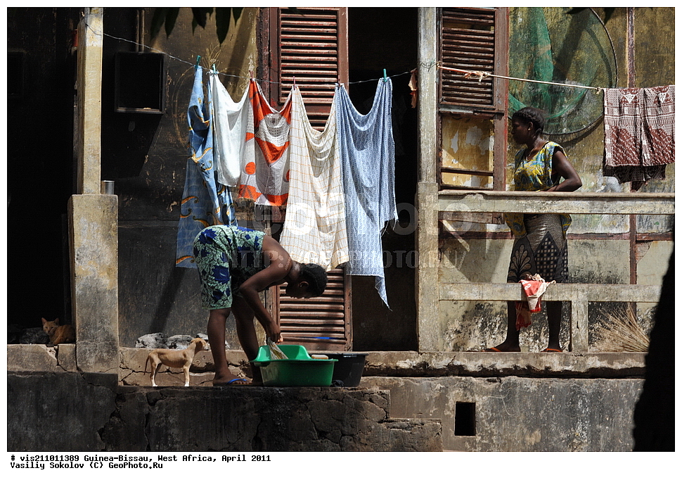 �����, ������, ������-�����, �����, 2011