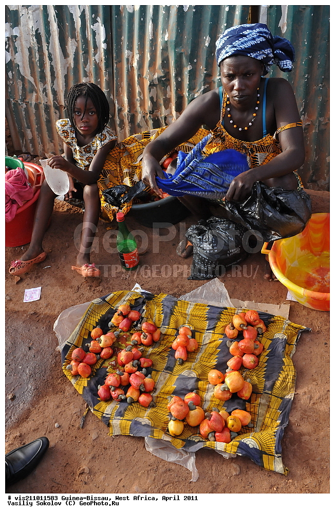 �����, �����, ��������, ������, ������-�����, �����, 2011