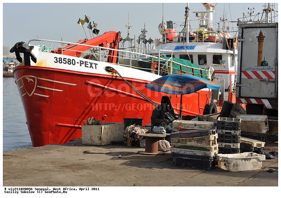 ������ ����, ������, �������, ������, 2011