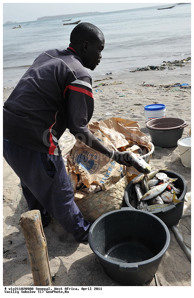 ���������� ������, ������, �������, ������, 2011