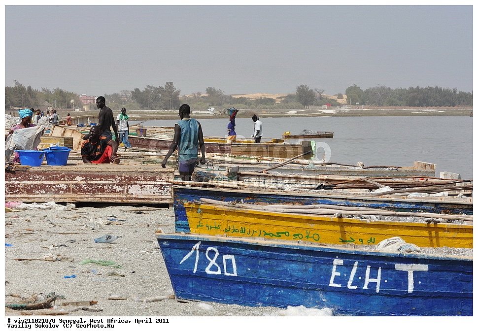 ������� ��������, �������, ������, 2011