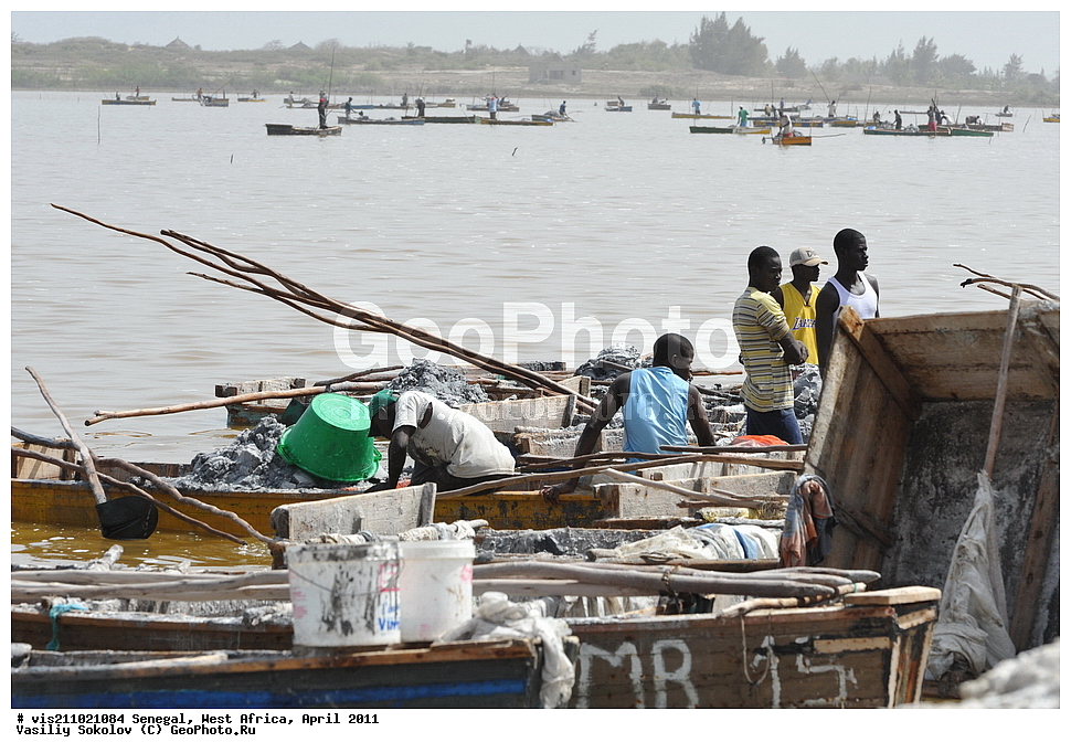 ������� ��������, �������, ������, 2011