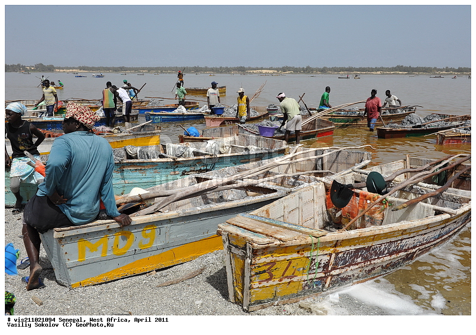 ������� ��������, �������, ������, 2011