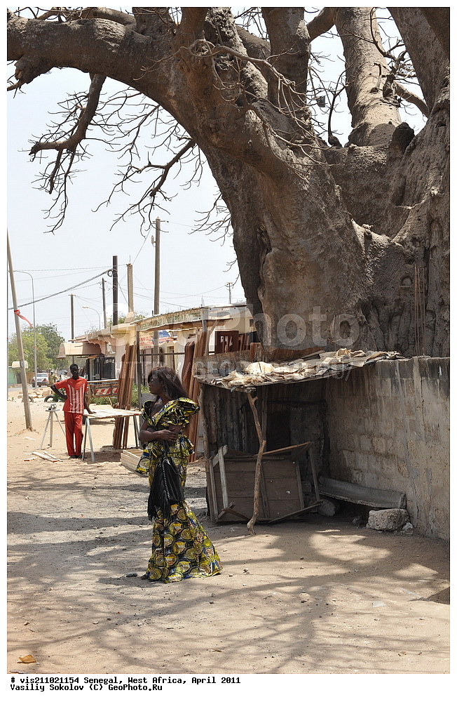 �����, ����, �����, ������� ������, �������, ������, 2011