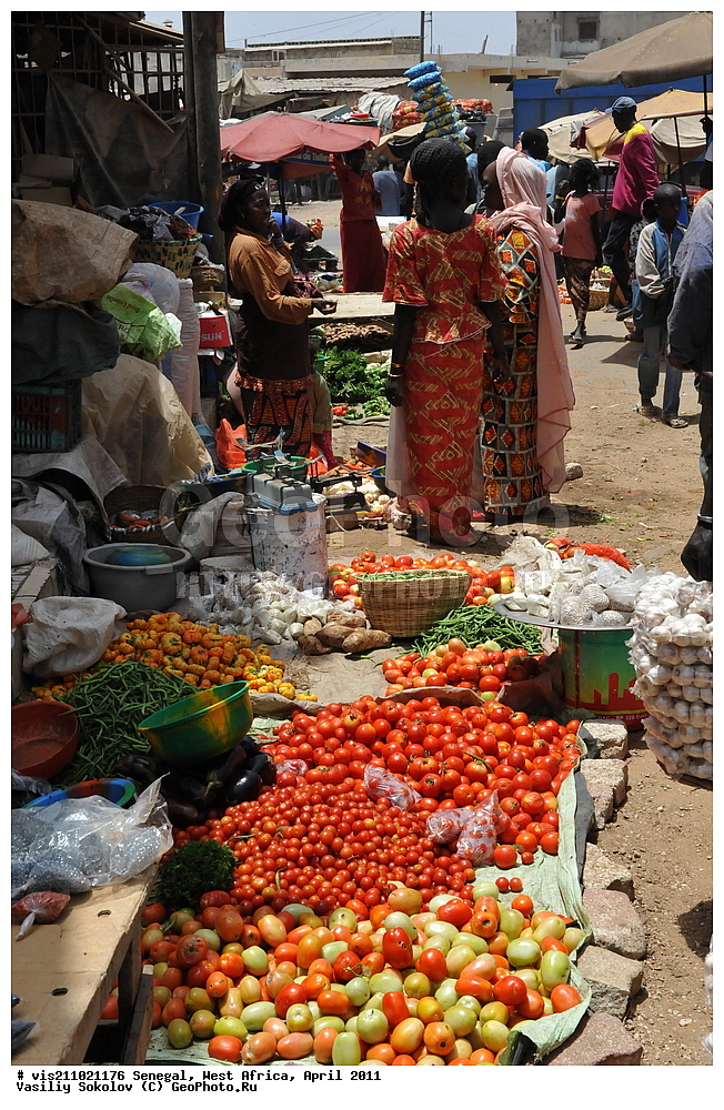 �����, �����, �������, ������, 2011