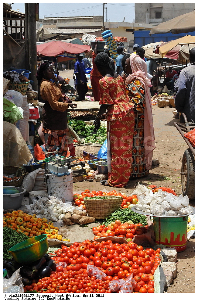 �����, �����, �������, ������, 2011