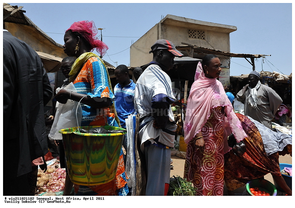 �����, �����, �������, ������, 2011