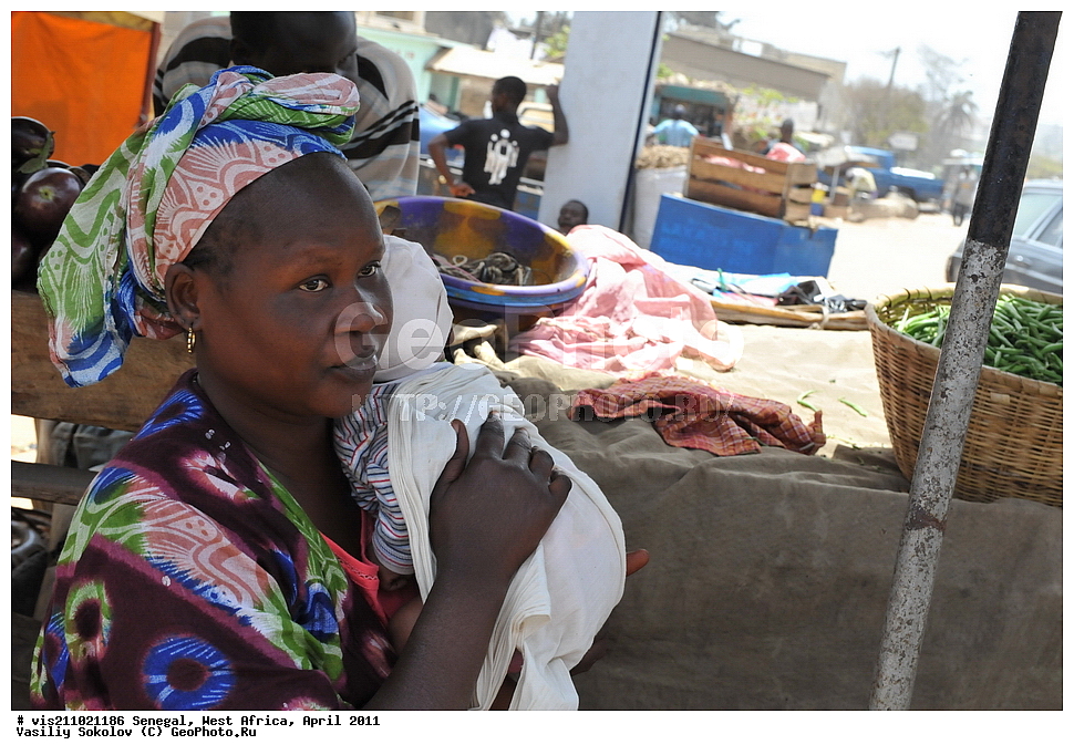 �����, �����, �������, ������, 2011