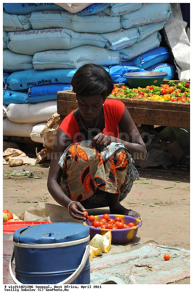 �����, �����, �������, ������, 2011