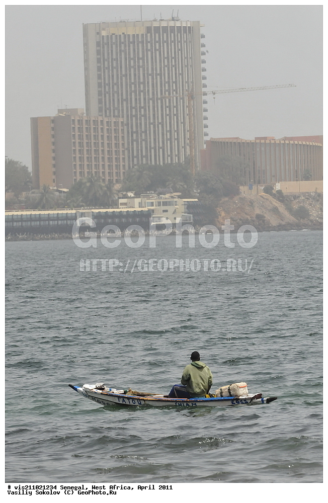 ���������� �����������, ����, �����, �������, ������, 2011