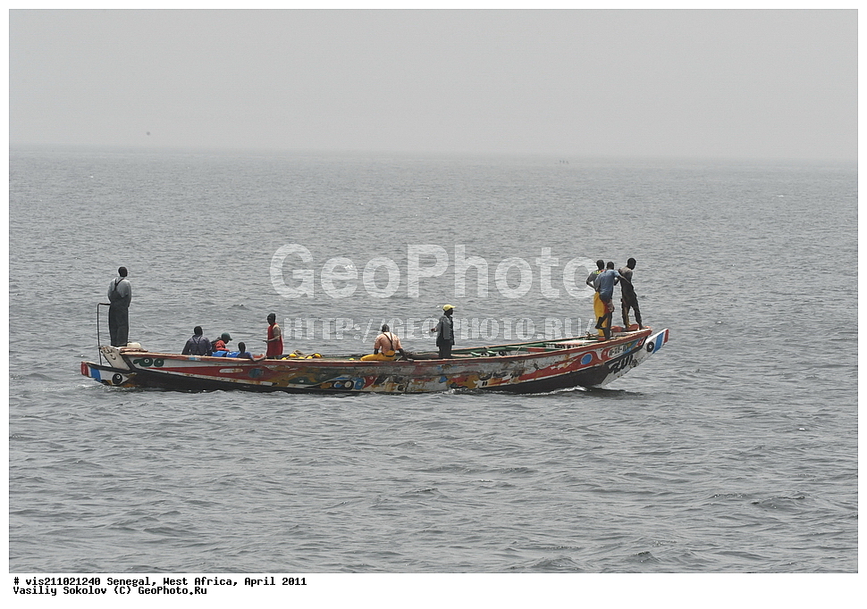 ���������� �����������, ����, �����, �������, ������, 2011