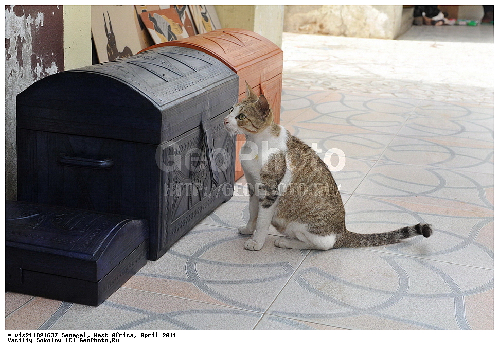 �����, ������������, ��������, �������, ������, 2011