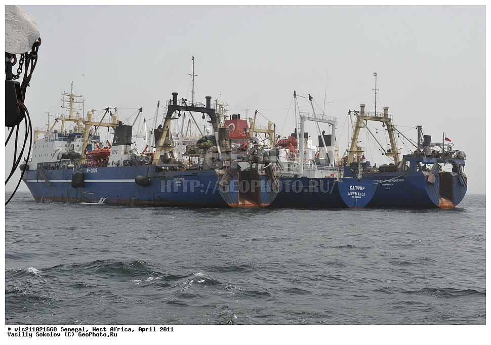 ����������, ������������, �������, ����, �����, �������, ������, 2011