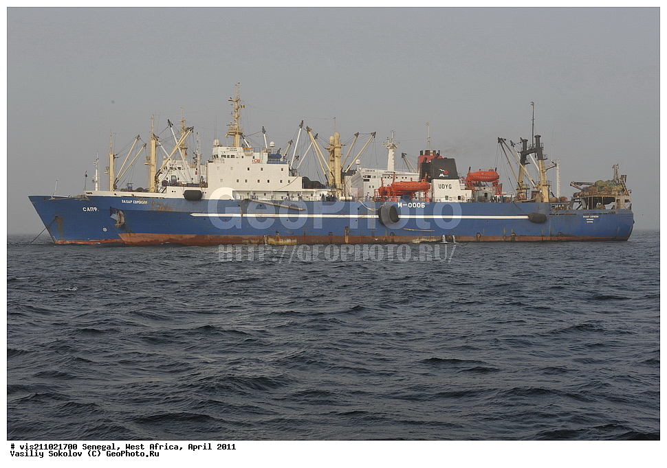 ����������, ������������, �������, ����, �����, �������, ������, 2011