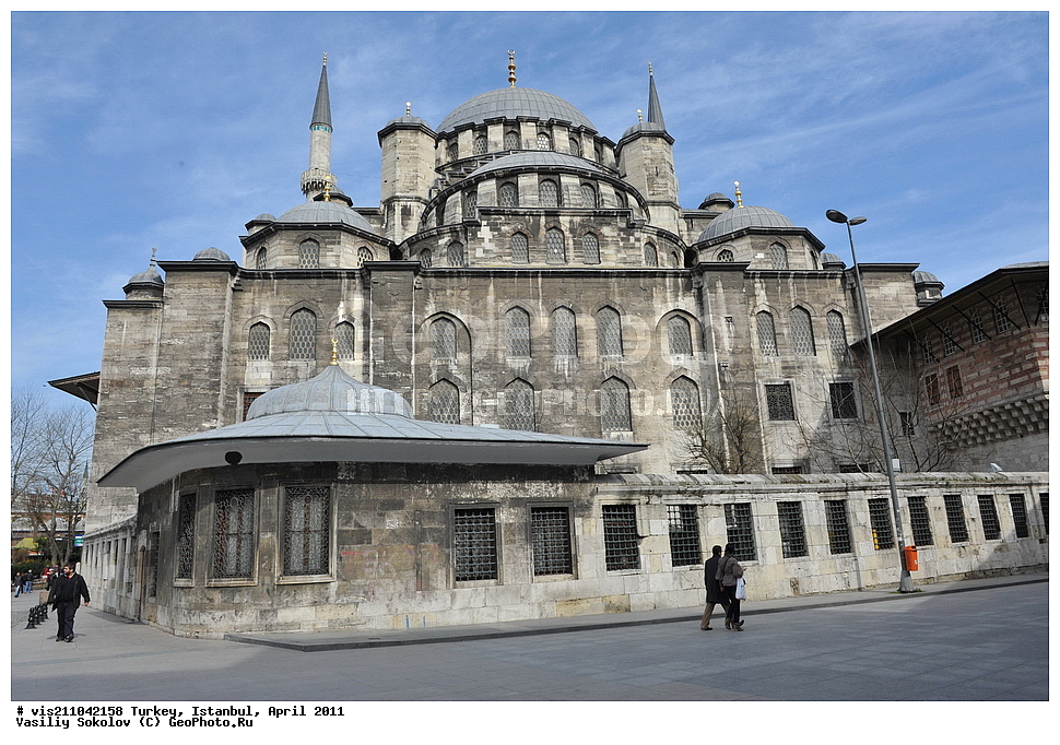 ������ �����, �������, ������, ������, 2011