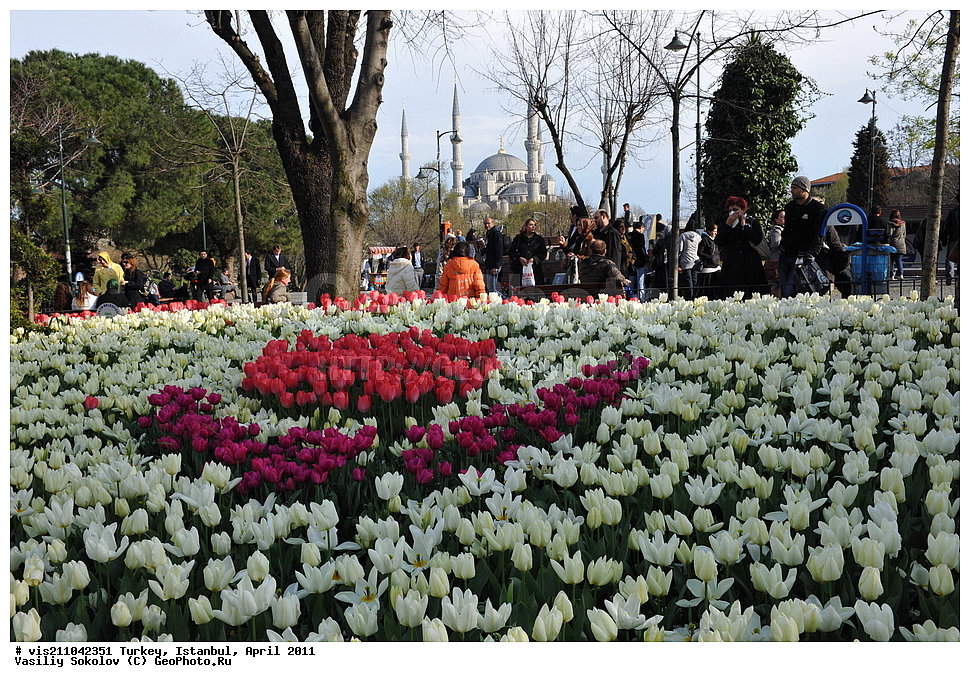 ������ �����, �������, ������, ������, 2011