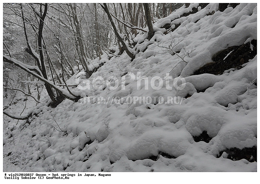 �����, ������� ���������, ������, ������, ������, ����������, ��������, ����, ������, ��������, �������������, ������, ������ ���