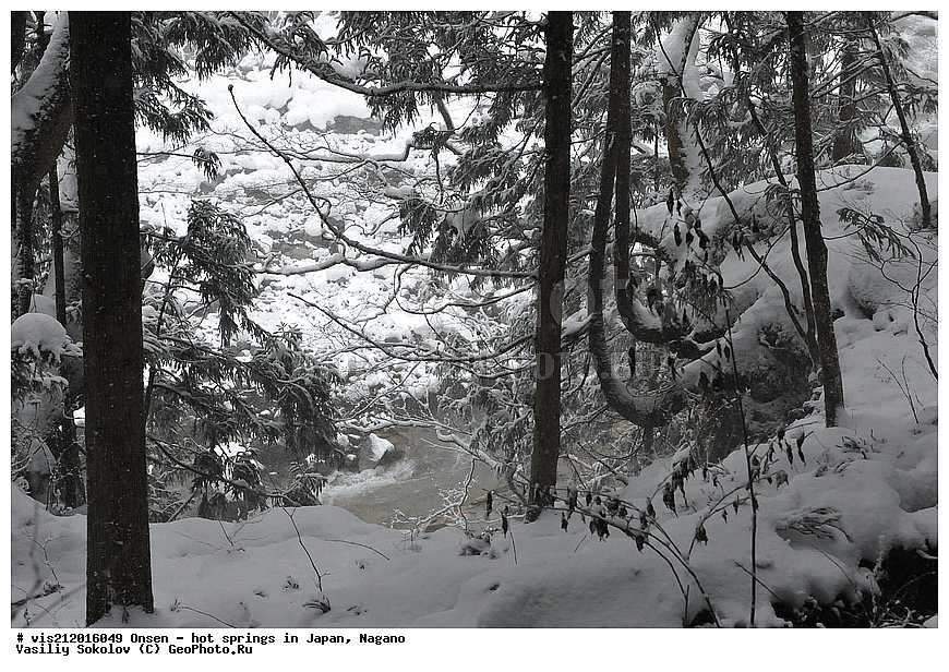  �����, ������� ���������, ������, ������, ������, ����������, ��������, ����, ������, ��������, �������������, ������, ������ ���