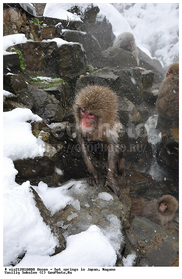  �����, ������� ���������, ������, ������, ������, ����������, ��������, ����, ������, ��������, �������������, ������, �������� �����
, ������ ���