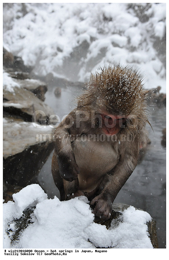  �����, ������� ���������, ������, ������, ������, ����������, ��������, ����, ������, ��������, �������������, ������, �������� �����
, ������ ���