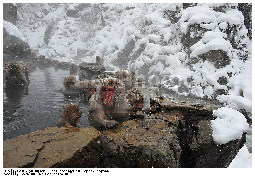  �����, ������� ���������, ������, ������, ������, ����������, ��������, ����, ������, ��������, �������������, ������, �������� �����
, ������ ���