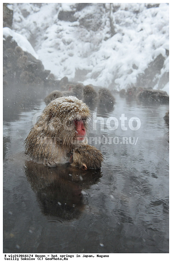 �����, ������� ���������, ������, ������, ������, ����������, ��������, ����, ������, ��������, �������������, ������, �������� �����
, ������ ���