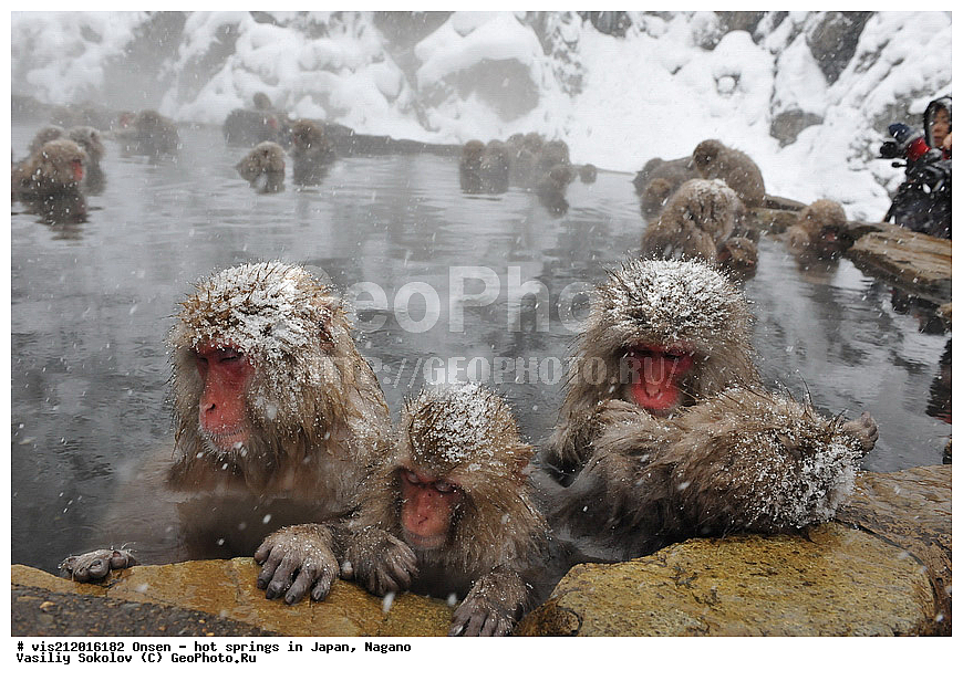  �����, ������� ���������, ������, ������, ������, ����������, ��������, ����, ������, ��������, �������������, ������, �������� �����
, ������ ���