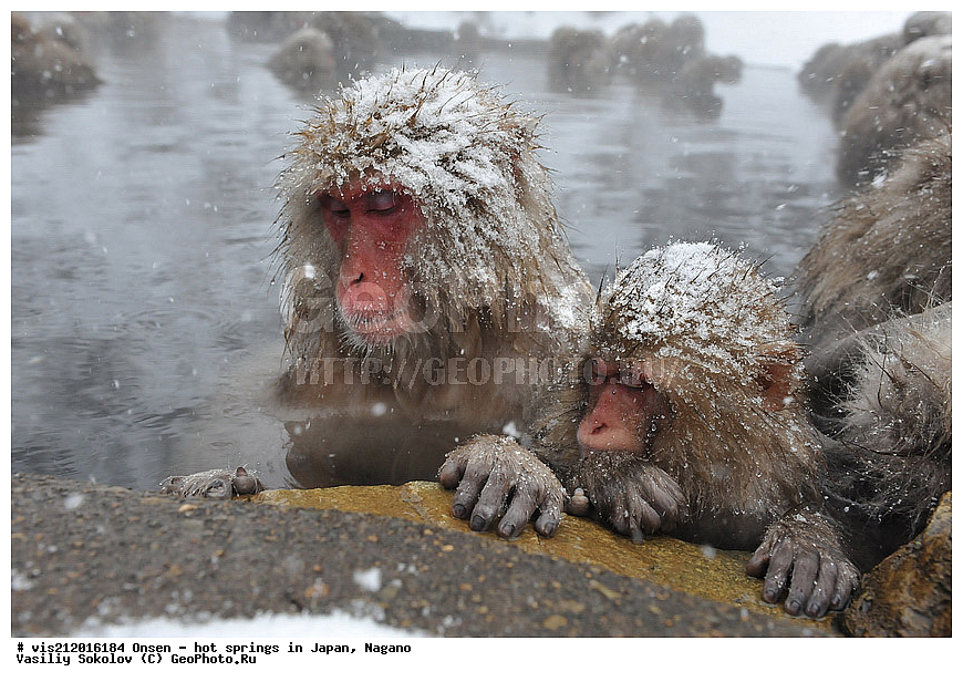  �����, ������� ���������, ������, ������, ������, ����������, ��������, ����, ������, ��������, �������������, ������, �������� �����
, ������ ���