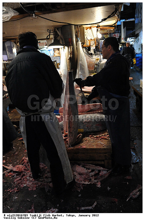 ������ �����, �������, �����   .  2012