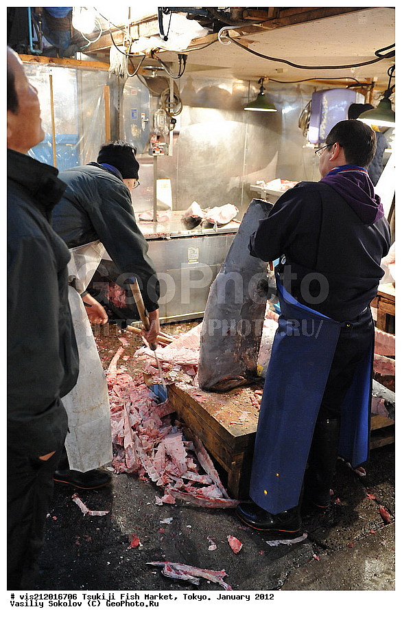 ������ �����, �������, �����   .  2012