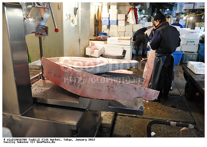 ������ �����, �������, �����   .  2012