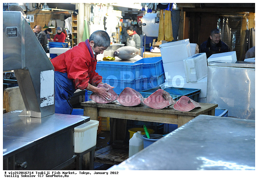 ������ �����, �������, �����   .  2012