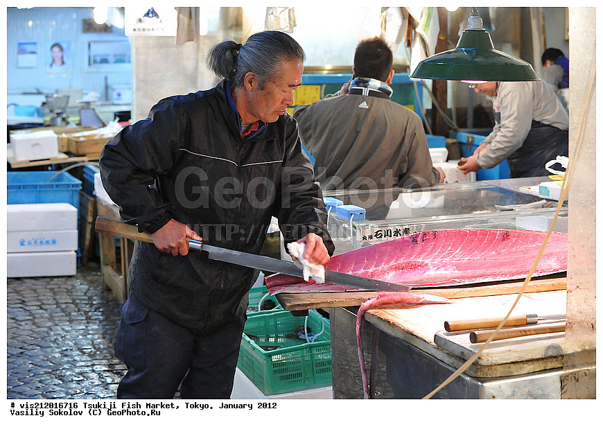 ������ �����, �������, �����   .  2012