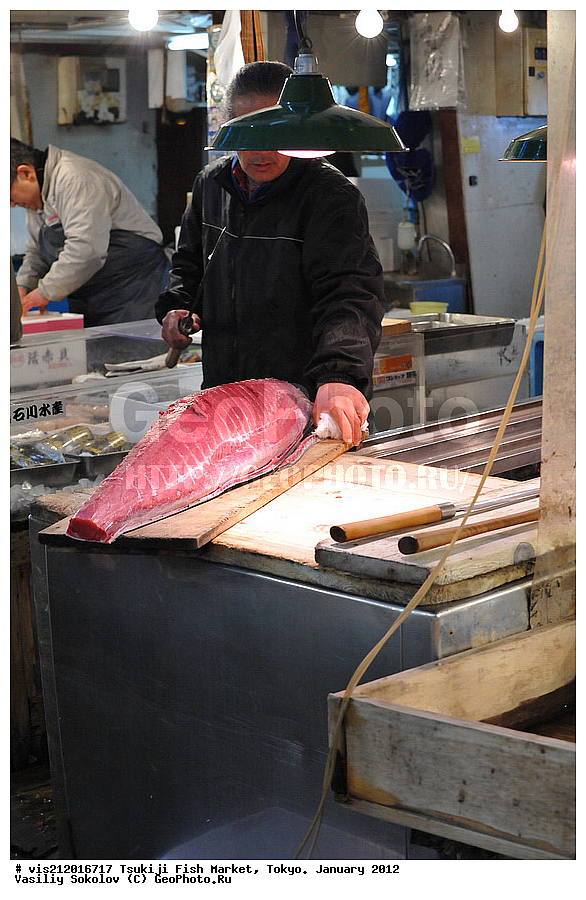 ������ �����, �������, �����   .  2012