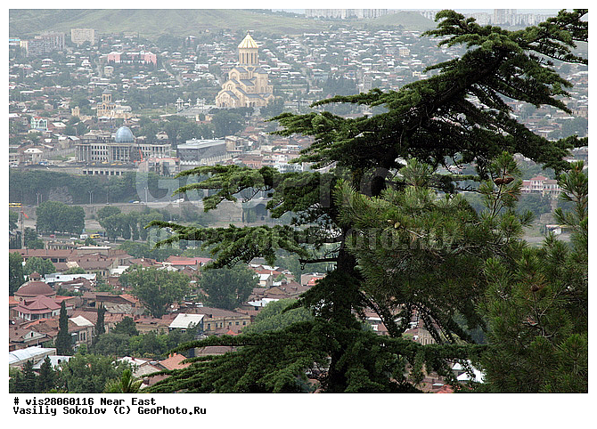 ������, �����, ������, ���, ������, ������, ����, ��������