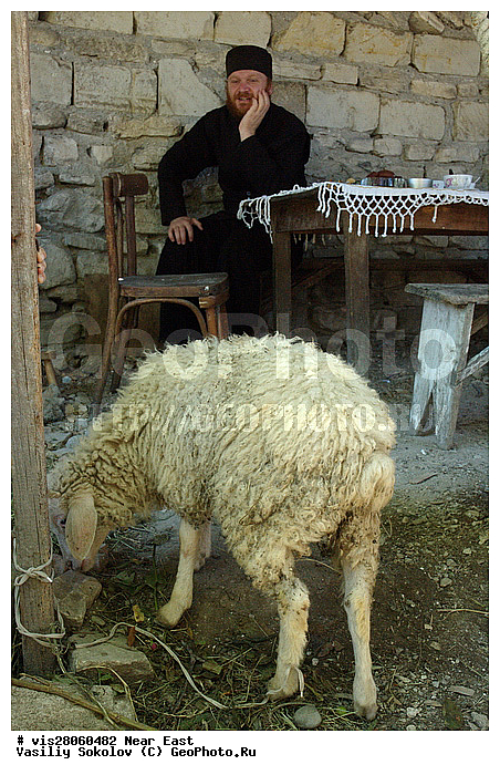 ������, ����� ��������� �����������������, ��������, ��������, ����, ����, ���, ���������, �����, ����, ����