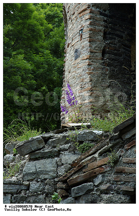 ������, �����������, ������, �������, ���������������������, �����, �������, �����