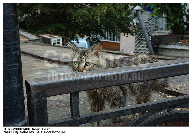 ������, �������, ����������, �������, �������� ��������, ��������, ��������, ���, ����, �����, ��������, �����