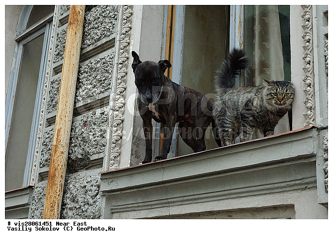 ������, �������, ��� �����, ����������, ����, �������� ��������, ��������, ��������, �����, �����, �� ����, �� �����������, ����, ����, ����������, ������, ������, �����