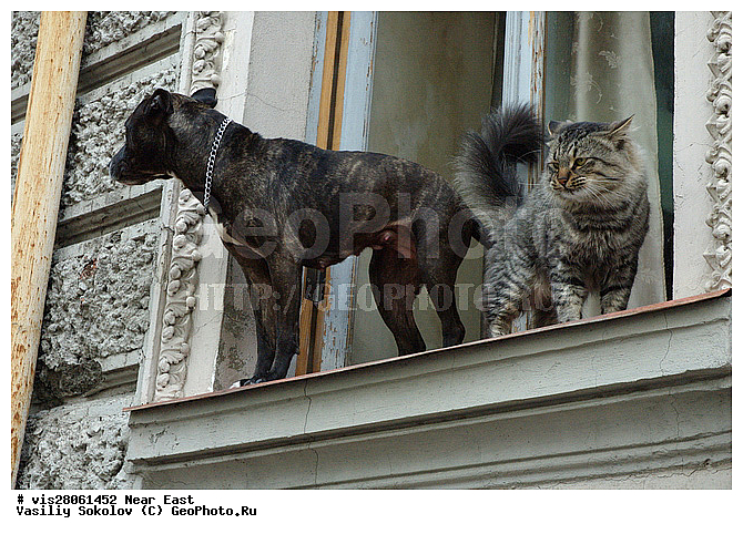 ������, �������, ��� �����, ����������, ����, �������� ��������, ��������, ��������, �����, �����, �� ����, �� �����������, ����, ����, ����������, ������, ������, �����